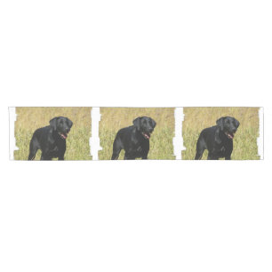 labrador-retriever-25.jpg kurzer tischläufer