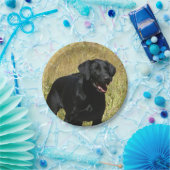 labrador-retriever-25.jpg pappteller (Party)