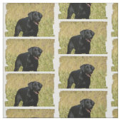 labrador-retriever-25.jpg stoff (Muster)