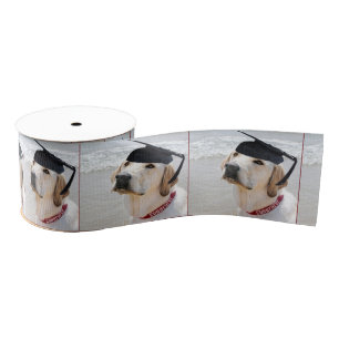 Labrador Retriever Absolvent Mit Hut Ripsband
