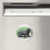 Labrador Retriever Apparell and Items Magnet (In Situ (Geschirrspüler))