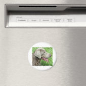 Labrador Retriever Apparell and Items Magnet (In Situ (Geschirrspüler))