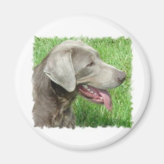 Labrador Retriever Apparell and Items Magnet (Vorne)