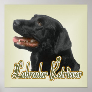 Labrador Retriever Art Print Poster