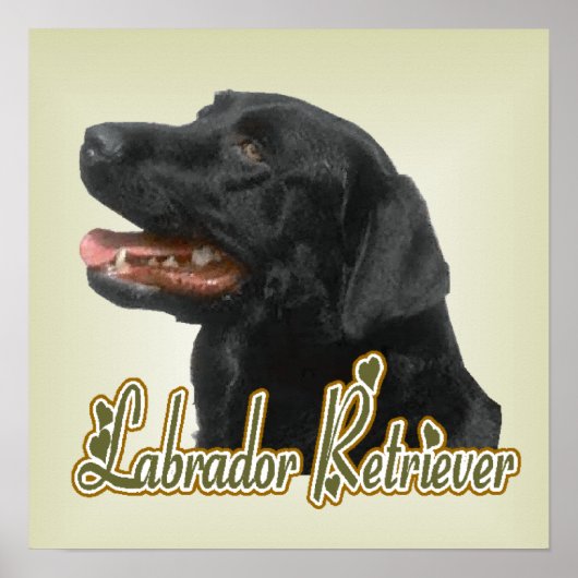 Labrador Retriever Art Print Poster (Vorne)