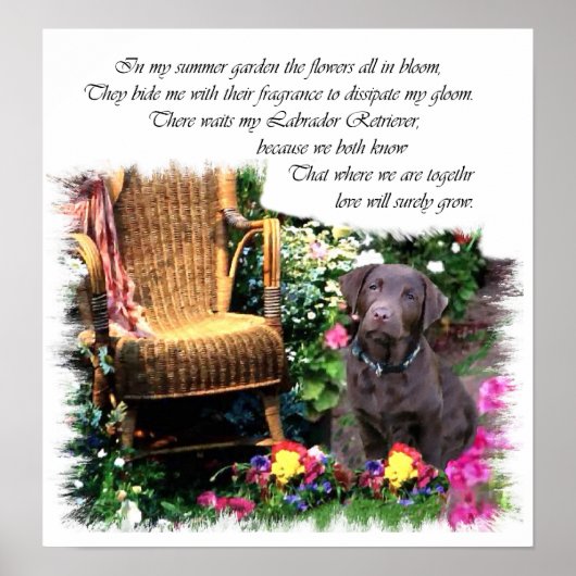 Labrador Retriever Art Print Poster (Vorne)
