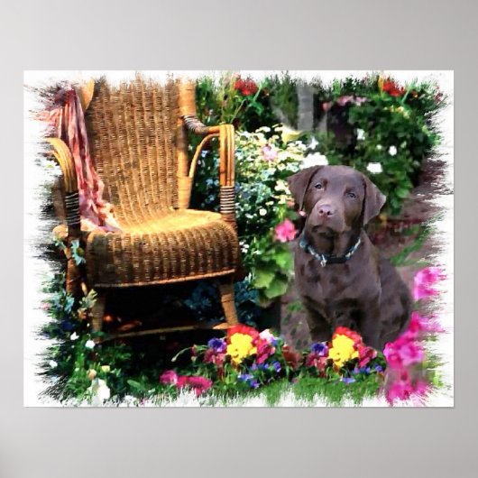 Labrador Retriever Art Print Poster (Vorne)