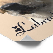 Labrador Retriever Art Prints Poster (Ecke)