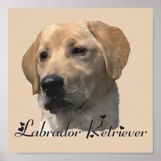 Labrador Retriever Art Prints Poster (Vorne)