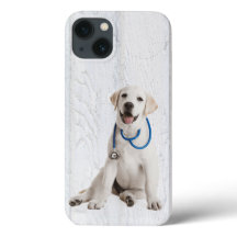 Labrador Retriever auf Whitewusch