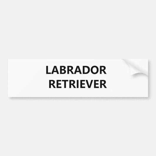 Labrador Retriever Autoaufkleber (Vorne)