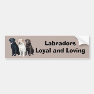 Labrador-Retriever-Autoaufkleber Autoaufkleber