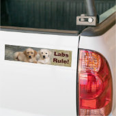 Labrador-Retriever-Autoaufkleber-Welpen-Regel Autoaufkleber (Auf Lkw)