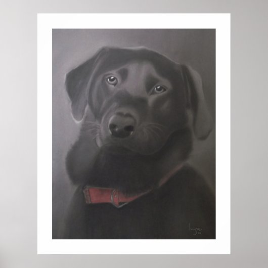Labrador Retriever Beautiful 24" x 30" Poster (Vorne)