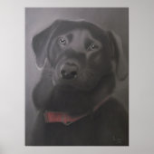 Labrador Retriever Beautiful Poster (Vorne)