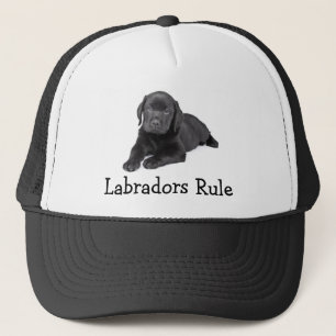 Labrador Retriever beherrschen Baseballmütze für W Truckerkappe