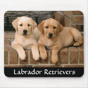 Labrador Retriever beherrschen Welpen-Mauspad Mousepad