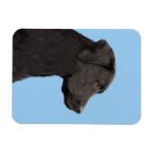 Labrador Retriever Black Painting Original Dog Art Magnet (Horizontal)