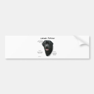 Labrador Retriever (blk) History Design Autoaufkleber