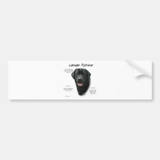 Labrador Retriever (blk) History Design Autoaufkleber (Vorne)