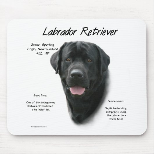 Labrador Retriever (blk) History Design Mousepad (Vorne)