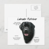 Labrador Retriever (blk) History Design Postkarte (Vorne/Hinten)