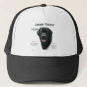 Labrador Retriever (blk) History Design Truckerkappe (Vorderseite)