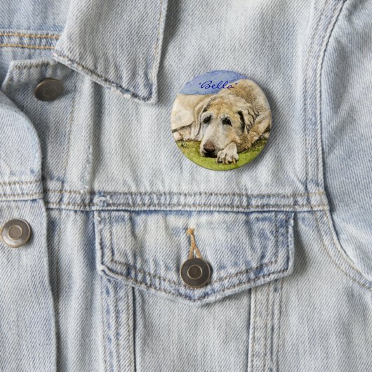Labrador retriever button (Beispiel)