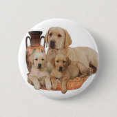 Labrador Retriever Button (Vorderseite)