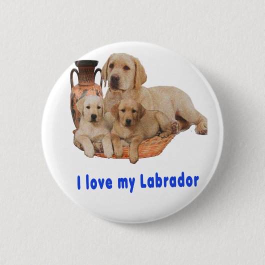 Labrador Retriever Button (Vorderseite)