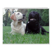 Labrador Retriever Calender Kalender (Titelbild)