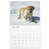 Labrador Retriever Calender Kalender (Mär 2027)