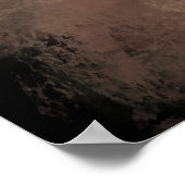 Labrador Retriever  Canvas Print Poster (Ecke)