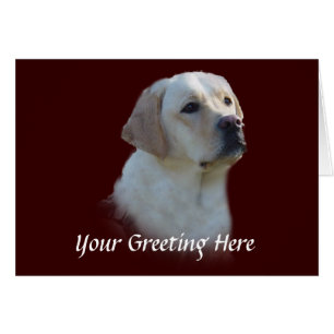 Labrador Retriever Card