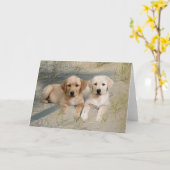 Labrador Retriever Card Pies On Beach Karte (Gelbe Blume)