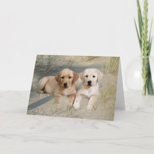 Labrador Retriever Card Pies On Beach Karte