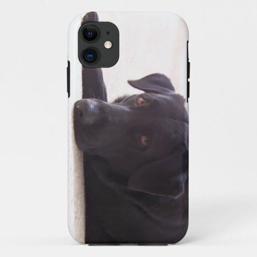 labrador retriever Case-Mate iPhone hülle (Rückseite)