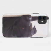 labrador retriever Case-Mate iPhone hülle (Rückseite (Horizontal))