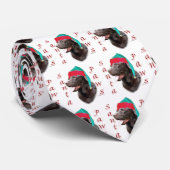 Labrador Retriever (choc) Santa Paws Krawatte (Gerollt)