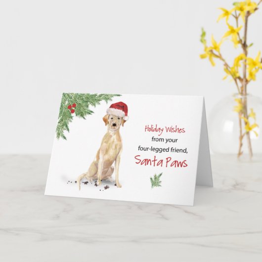 Labrador Retriever Christmas From Dog in Funny Karte (Gelbe Blume)