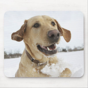 Labrador retriever, das durch tiefen Schnee Mousepad