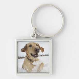 Labrador retriever, das durch tiefen Schnee Schlüsselanhänger