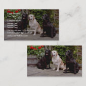 Labrador-Retriever des Weiß-drei, die Blumen Visitenkarte (Vorne/Hinten)