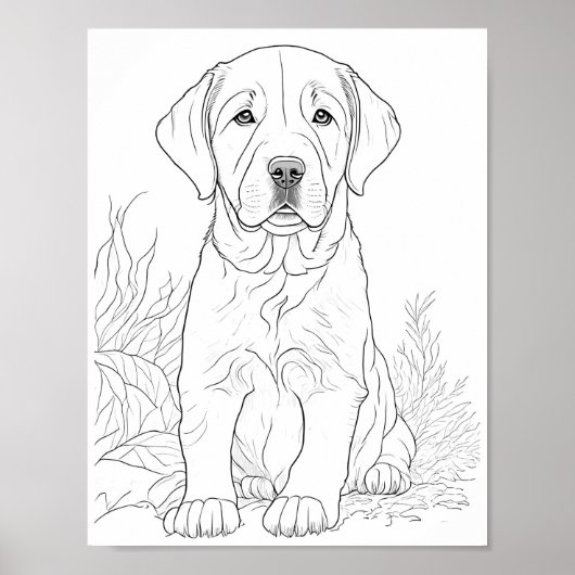 Labrador Retriever Dog Aduloring Coloring Poster (Vorne)