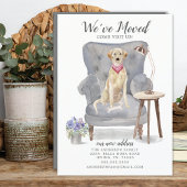 Labrador retriever Dog | Ankündigung der Beförderu