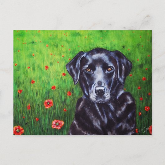 Labrador Retriever Dog Art - Poppy Postkarte (Vorderseite)