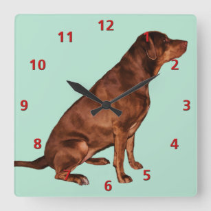 Labrador Retriever Dog Clock Customizable Quadratische Wanduhr