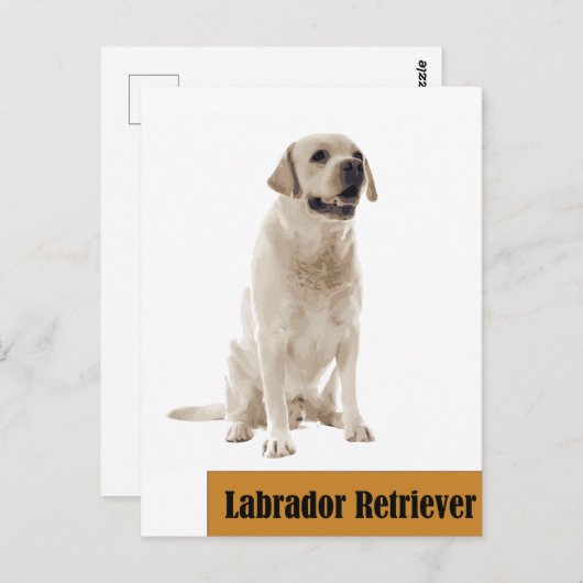 Labrador Retriever Dog Foto Postkarte (Vorne/Hinten)