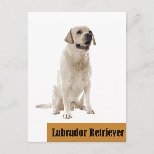 Labrador Retriever Dog Foto Postkarte (Vorderseite)