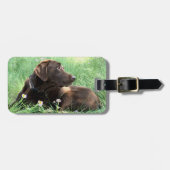 Labrador Retriever Dog Portrait in violetten Blume Gepäckanhänger (Vorderseite horizontal)